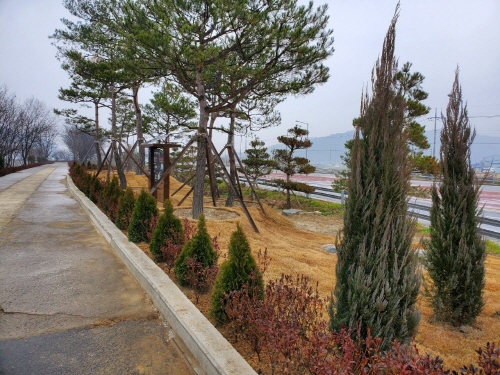 21401701de6befa73257ebfcefd19095_1643870844_6305.jpg 21401701de6befa73257ebfcefd19095_1643870844_6305.jpg