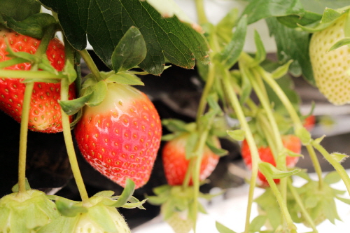 e8d29e614e3ed8bff5fc530250daf68a_1644900209_2333.jpg e8d29e614e3ed8bff5fc530250daf68a_1644900209_2333.jpg