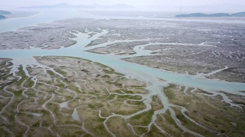 1917e6a792e46d913104598ac861e915_1649838776_7625.jpg 1917e6a792e46d913104598ac861e915_1649838776_7625.jpg