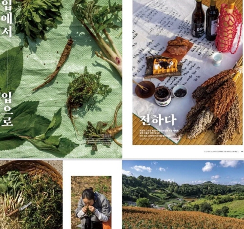 255dbce240ca49b3dfda7bbace0a8f2c_1649643353_0444.jpg 255dbce240ca49b3dfda7bbace0a8f2c_1649643353_0444.jpg