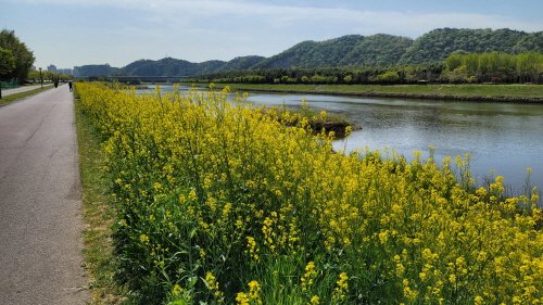 9fe4819aff363db86b72f320873b4331_1649911623_6502.jpg 9fe4819aff363db86b72f320873b4331_1649911623_6502.jpg