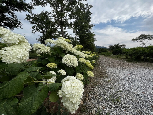 30e74b59c618ac00956799f80ed921e8_1655189844_7458.jpg 30e74b59c618ac00956799f80ed921e8_1655189844_7458.jpg