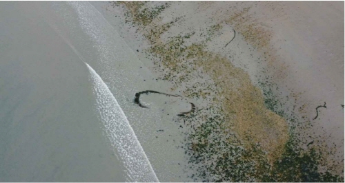 540e13b2f90001d3cc4b231b7f28786e_1686102070_1814.jpg 540e13b2f90001d3cc4b231b7f28786e_1686102070_1814.jpg