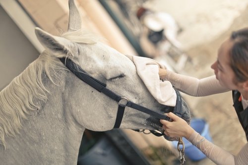 eba91ce22b6a20324df14e4fbef745f8_1698307277_2094.jpg eba91ce22b6a20324df14e4fbef745f8_1698307277_2094.jpg