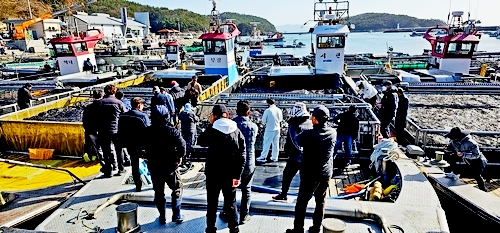 b7c36d49aea0791b8c97fb5e72a66d44_1732603703_1677.jpg b7c36d49aea0791b8c97fb5e72a66d44_1732603703_1677.jpg