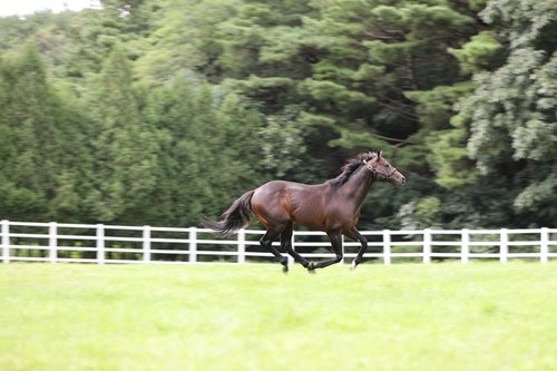 89ebf01f0aee81206ec8999ab9a618a0_1740124795_8722.jpg 89ebf01f0aee81206ec8999ab9a618a0_1740124795_8722.jpg