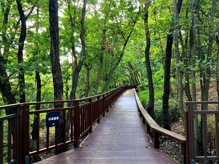 83c4b144af7aa2bbd26a3995cb85560b_1761791125_7018.jpg 83c4b144af7aa2bbd26a3995cb85560b_1761791125_7018.jpg