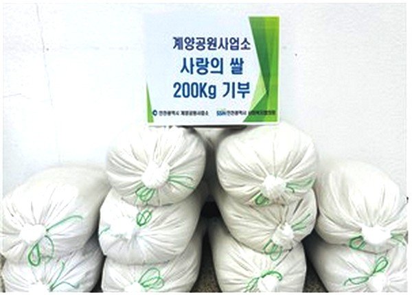 46dbdd5d775233ac120b58e12ad16cb8_1762928406_2657.jpg 46dbdd5d775233ac120b58e12ad16cb8_1762928406_2657.jpg