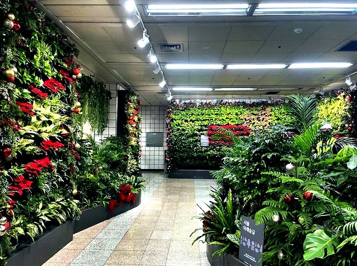 51a53ca98249cf8c4114f42b312d9947_1763947340_2195.jpg 51a53ca98249cf8c4114f42b312d9947_1763947340_2195.jpg