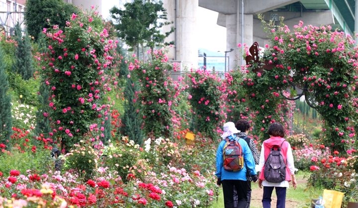 f099bf47c4fa62923d050a0056187c91_1762737495_8497.jpg f099bf47c4fa62923d050a0056187c91_1762737495_8497.jpg