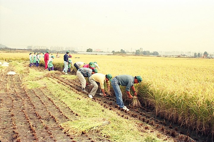 001d6eab8f43bd75c8e5603ba3721638_1765244775_5783.jpg 001d6eab8f43bd75c8e5603ba3721638_1765244775_5783.jpg