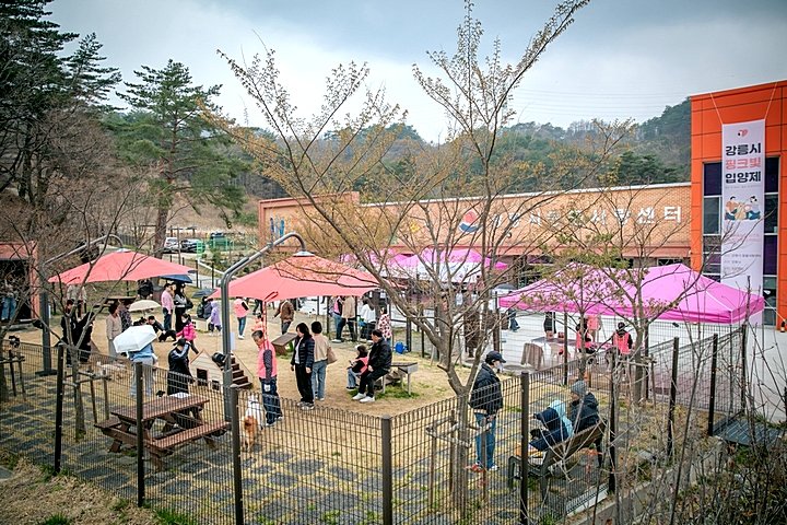 3156219714d450f34b7db0748d1e100c_1764901321_4174.jpg 3156219714d450f34b7db0748d1e100c_1764901321_4174.jpg