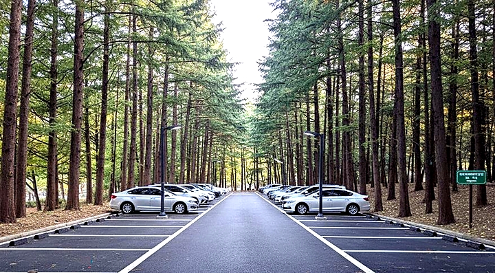 6165a3a54061a353829bce72b7a6456a_1767578748_1757.jpg 6165a3a54061a353829bce72b7a6456a_1767578748_1757.jpg