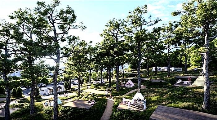 3ee6449e2da1c2f54f7ea84a98db9c5a_1771573343_0762.jpg 3ee6449e2da1c2f54f7ea84a98db9c5a_1771573343_0762.jpg