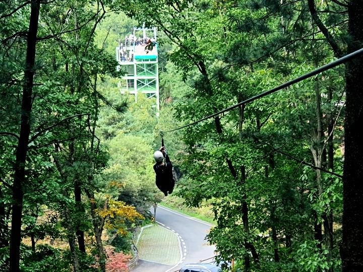 bc6ace8143120aa73654dd1065e6c8ad_1771986246_5685.jpg bc6ace8143120aa73654dd1065e6c8ad_1771986246_5685.jpg