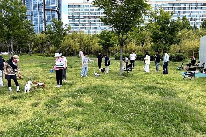 dd9a0d42d8d6023c9f0ec86d695e1613_1772072105_8668.jpg dd9a0d42d8d6023c9f0ec86d695e1613_1772072105_8668.jpg