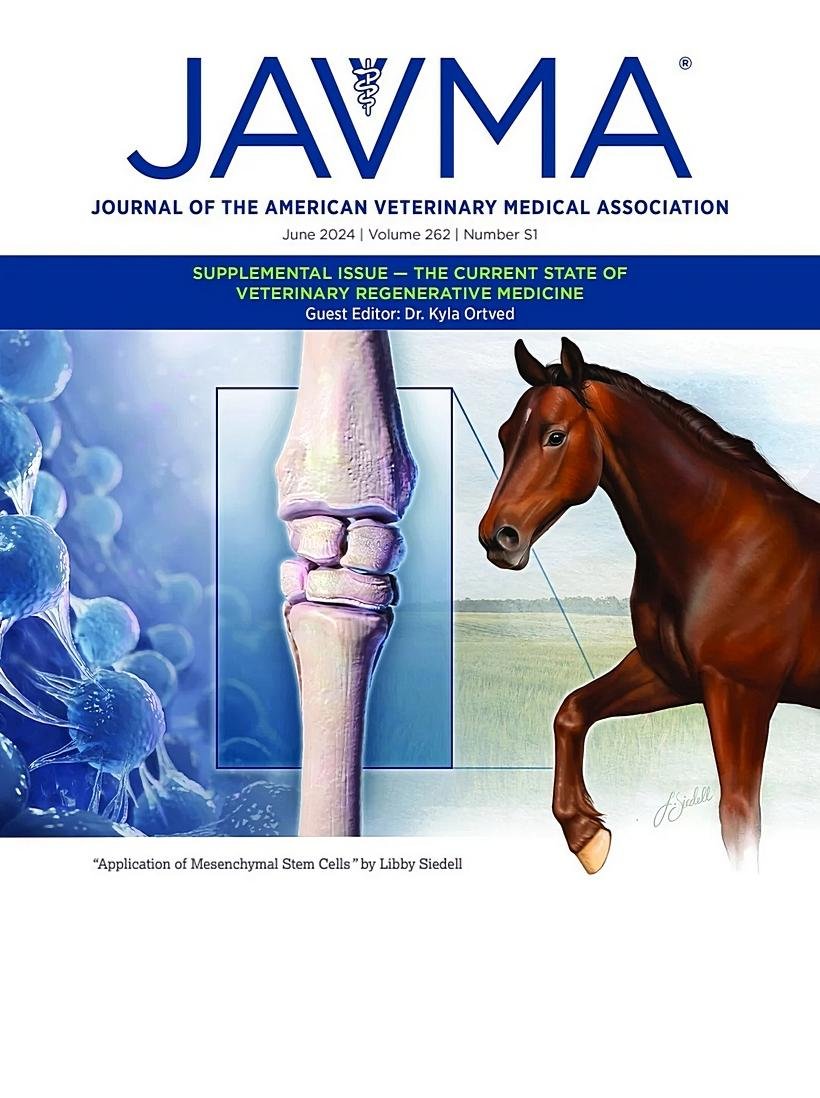 dd9a0d42d8d6023c9f0ec86d695e1613_1772090128_2584.jpg dd9a0d42d8d6023c9f0ec86d695e1613_1772090128_2584.jpg