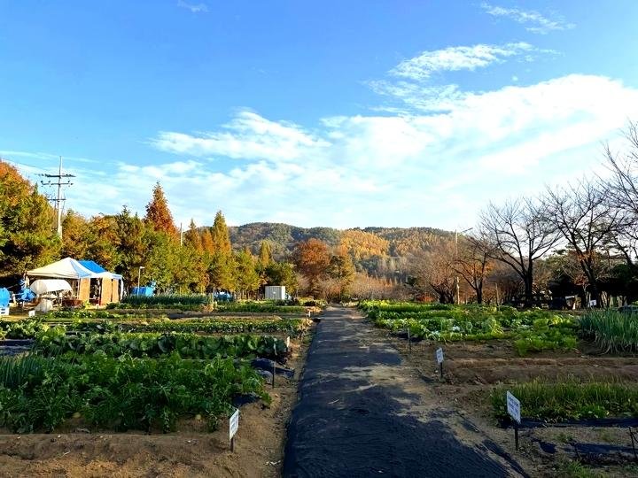 0ff2789c41d4c12234df18be4f3e9ce3_1772603673_9381.jpg 0ff2789c41d4c12234df18be4f3e9ce3_1772603673_9381.jpg