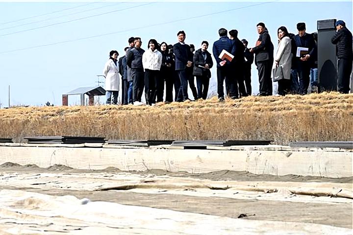 2be9bd786197c1ca8e3afeefa59ddde9_1773713561_3776.jpg 2be9bd786197c1ca8e3afeefa59ddde9_1773713561_3776.jpg