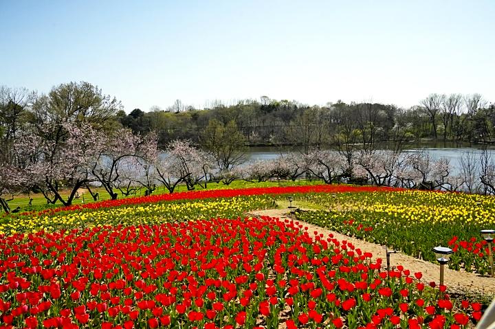 01a508ea78daa9490ed3195776ae81a1_1775719474_6444.jpg 01a508ea78daa9490ed3195776ae81a1_1775719474_6444.jpg