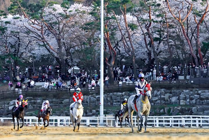 01a508ea78daa9490ed3195776ae81a1_1775720729_3718.jpg 01a508ea78daa9490ed3195776ae81a1_1775720729_3718.jpg