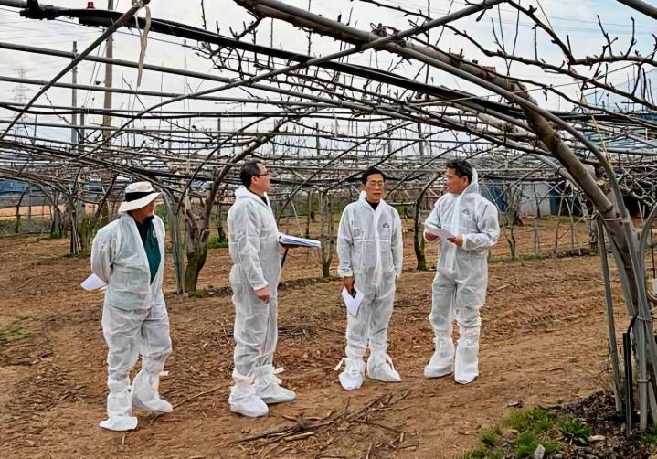 96277b9b686249cd4b901ac5ebfb9127_1775550005_0696.jpg 96277b9b686249cd4b901ac5ebfb9127_1775550005_0696.jpg