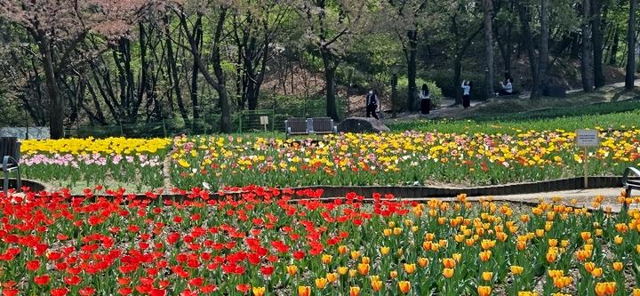 aee2fec5e27592fcc7abd517f24f04f6_1776307951_2442.jpg aee2fec5e27592fcc7abd517f24f04f6_1776307951_2442.jpg