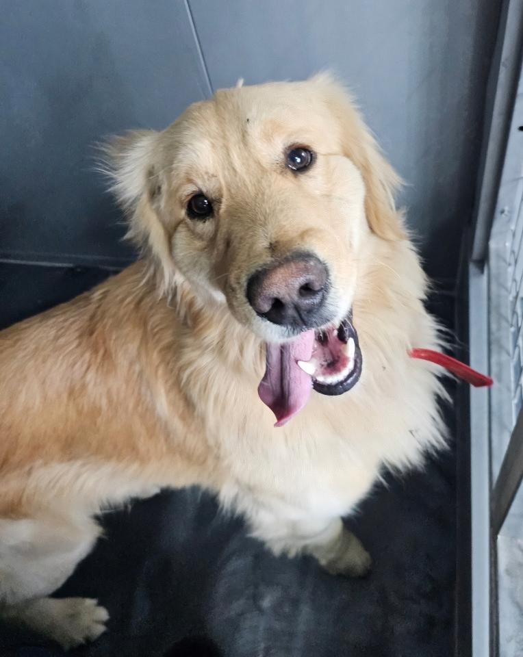 aee2fec5e27592fcc7abd517f24f04f6_1776319952_844.jpg aee2fec5e27592fcc7abd517f24f04f6_1776319952_844.jpg