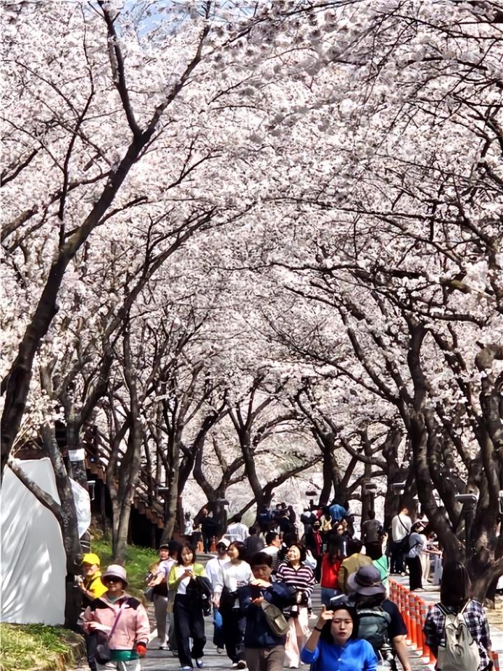 d2651f357483f3e8f22b2f7217d0dd6b_1775022572_6478.jpg d2651f357483f3e8f22b2f7217d0dd6b_1775022572_6478.jpg